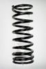 SPIDAN 56234 Coil Spring